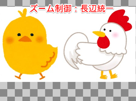 ズーム制御 長辺統一