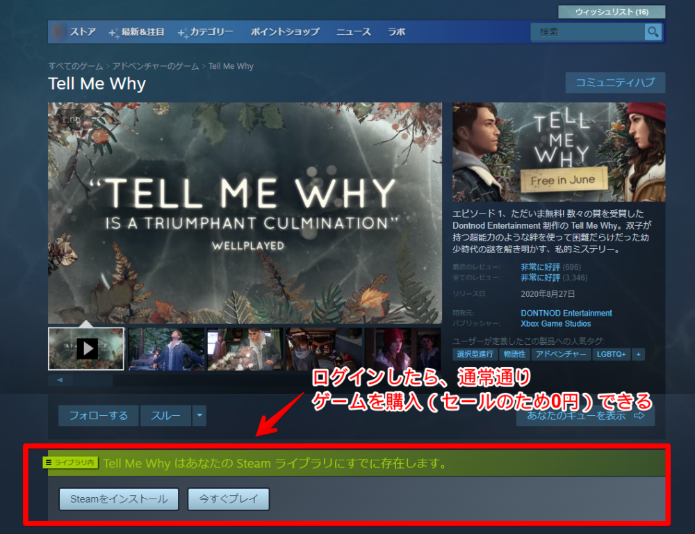 Steam：Tell Me Why画面