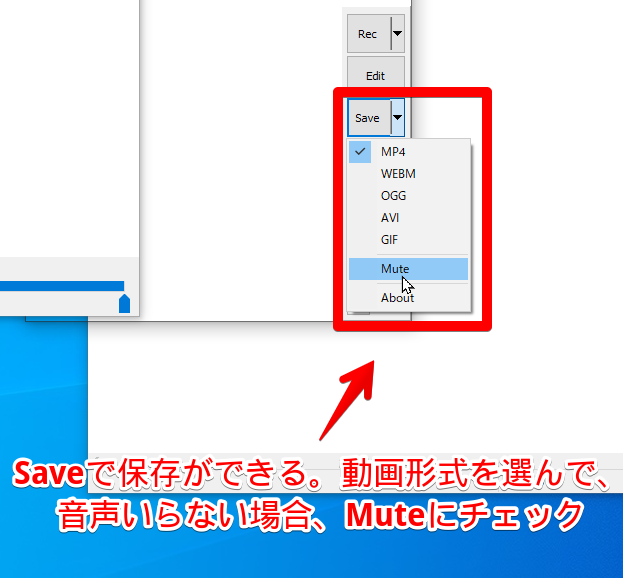 Save 動画の保存 拡張子は、5種類の中から選択できる