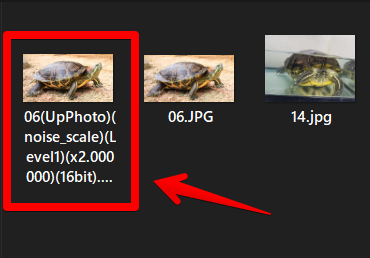 元画像と同じフォルダー内に処理後の画像が保存されている　亀の写真