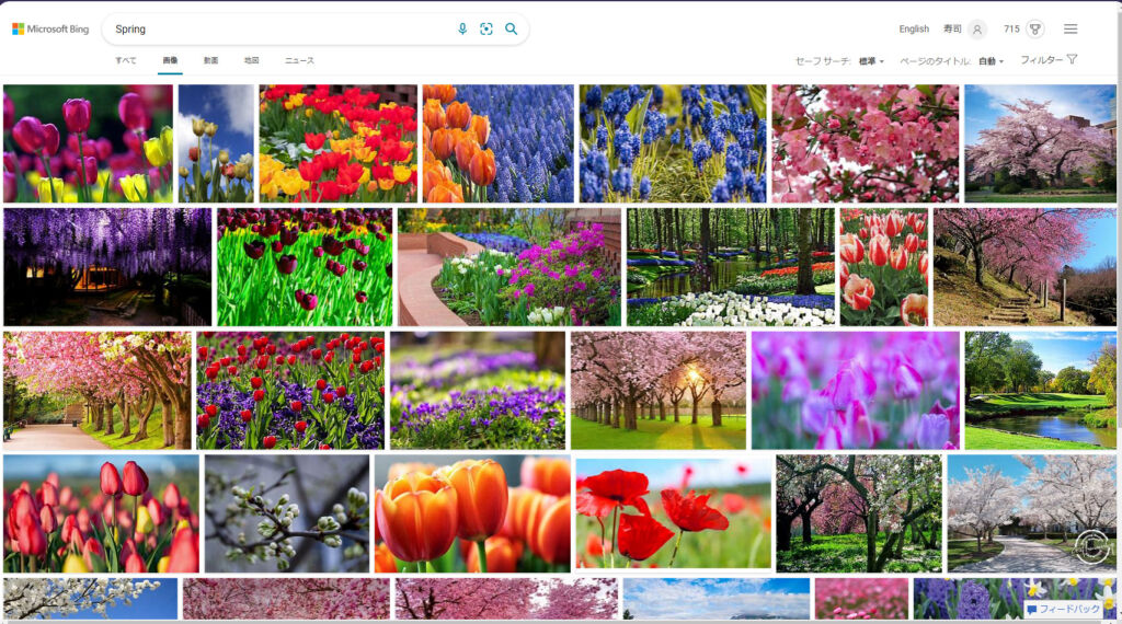 Bingで「Spring」と検索した画像