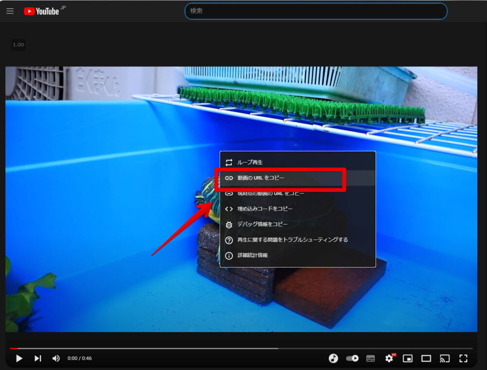 Lively Wallpaper 動画をデスクトップの背景にするソフトの使い方 ナポリタン寿司のpc日記
