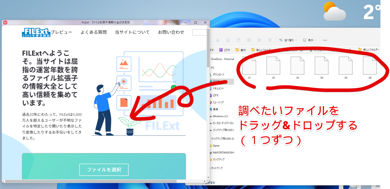 調べたいファイルをFILExtにドラッグ&ドロップする