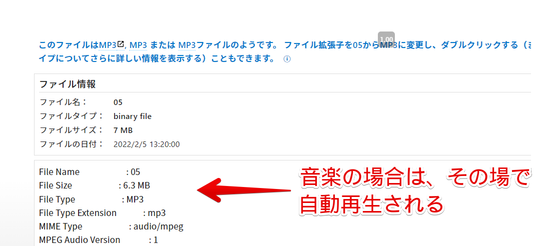 音楽ファイルの場合は、その場で自動再生される