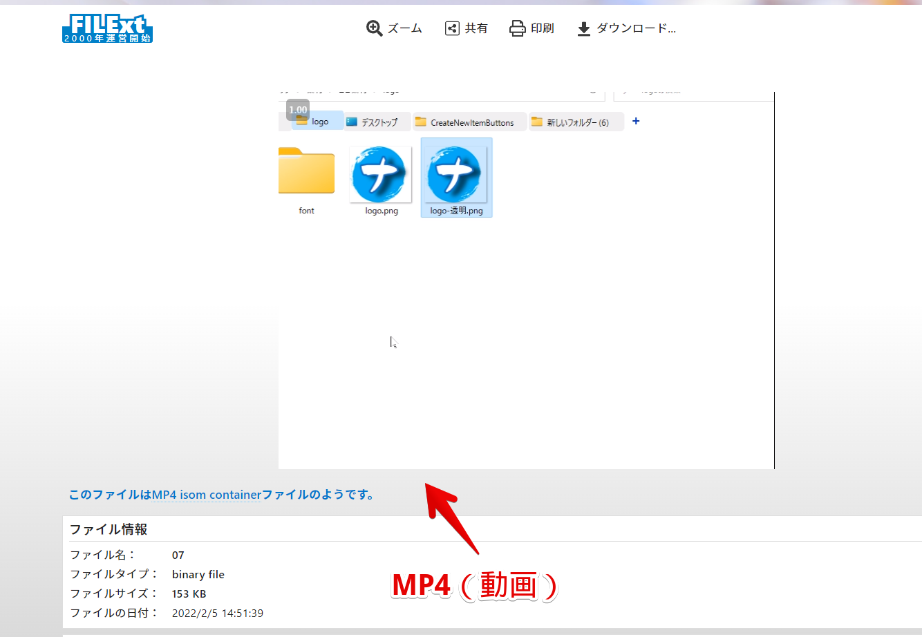 mp4などの動画ファイルはプレビュー再生される