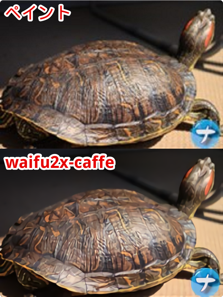 ペイントで拡大した画像とwaifu2x-caffeで拡大した比較写真（亀の甲羅写真）
