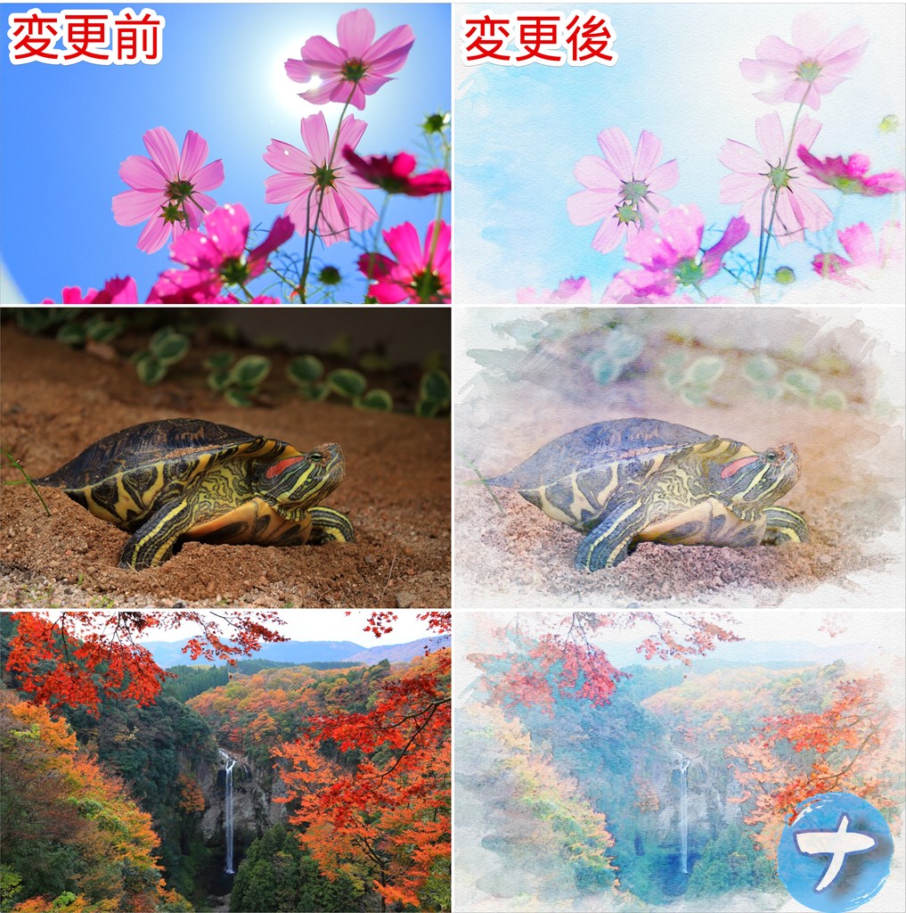 水彩画風に変換した比較画像①　コスモス、亀、滝