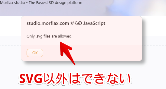 studio.morflax.comからのJavaScript　Only .svg files are allowed!