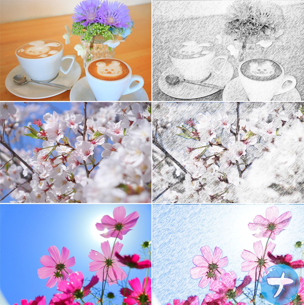 「画像を色鉛筆スケッチ風にする」で作成した比較画像①　コーヒー、桜、コスモス