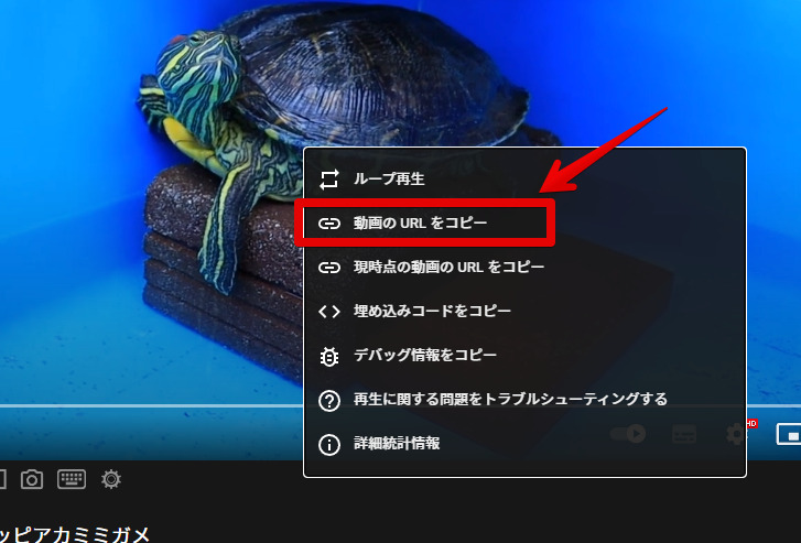 亀のYouTube動画の右クリック　動画のURLをコピー