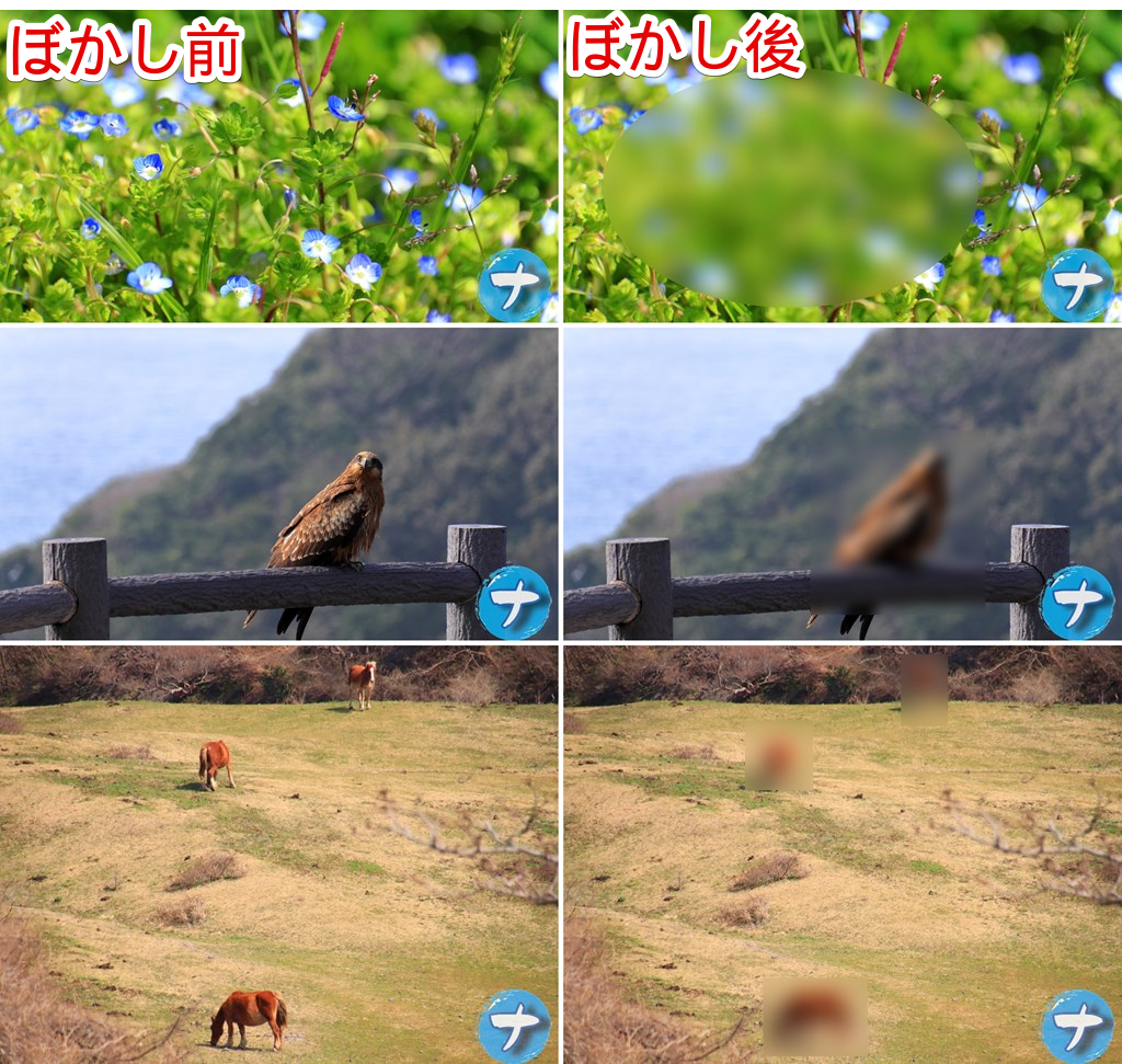 ぼかし前とぼかし後の比較画像　上から、青い花、トビ、隠岐の島で放牧されている野生の馬