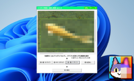 【モザイク専用+ぼかし専用】指定範囲にモザイクをかけるソフト