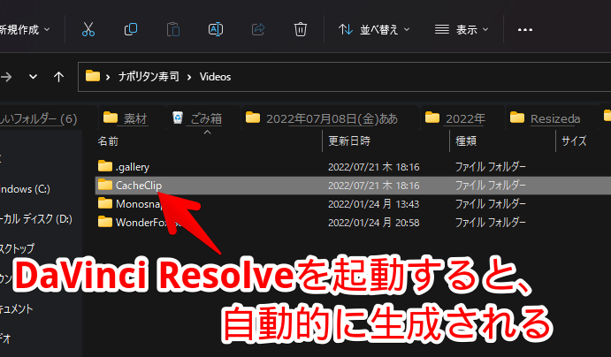 「C:\Users\Naporitansushi\Videos」フォルダー内の画像