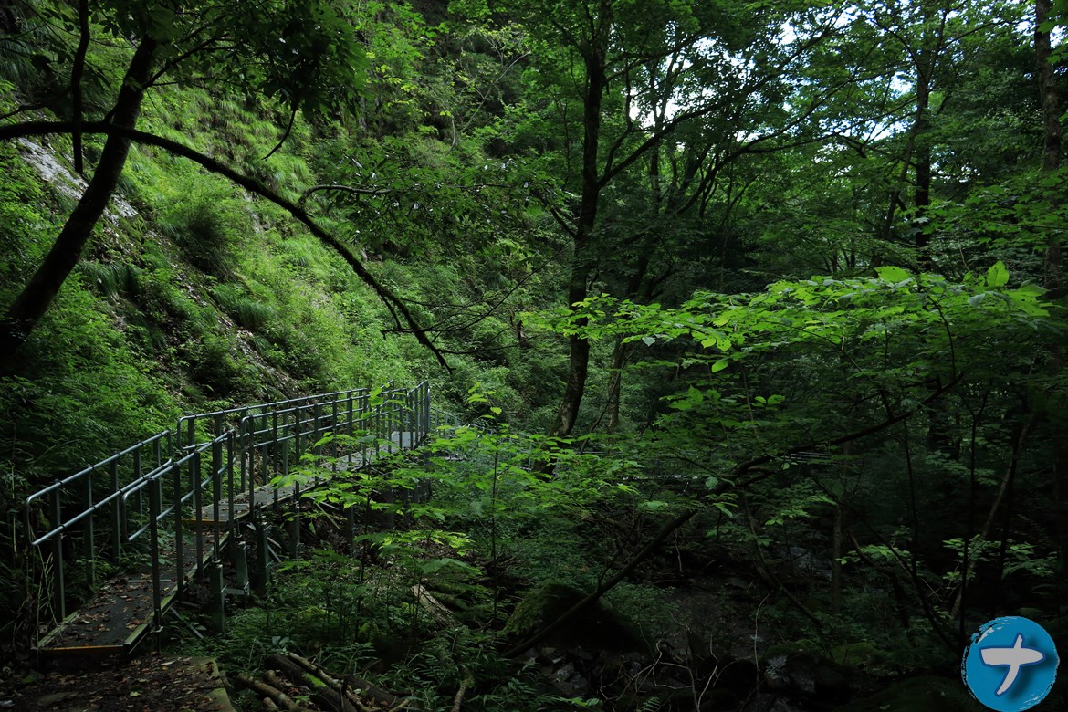 場を和ますための写真4　森の中にかかる橋