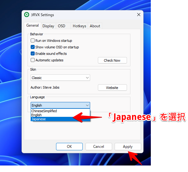3RVXを日本語化する手順画像4