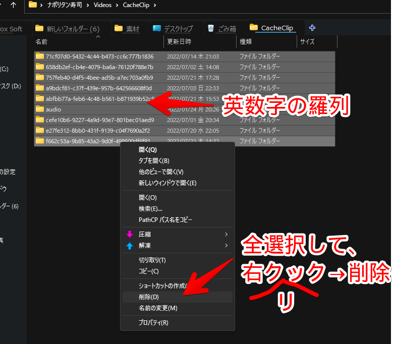 「C:\Users\Naporitansushi\Videos\CacheClip」フォルダー内の画像