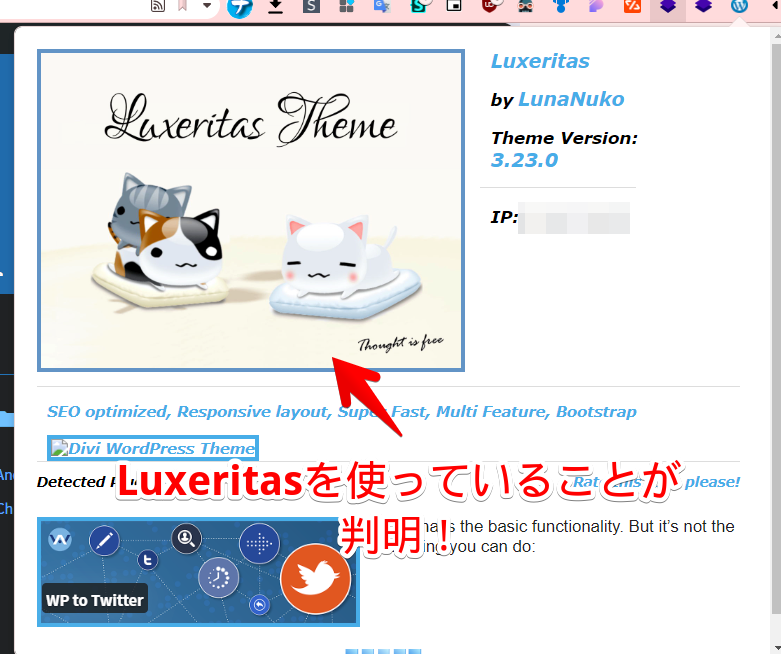 「WordPress Theme Detector and Plugins Detector」画像2