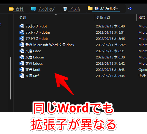 色々な拡張子のWordファイル画像