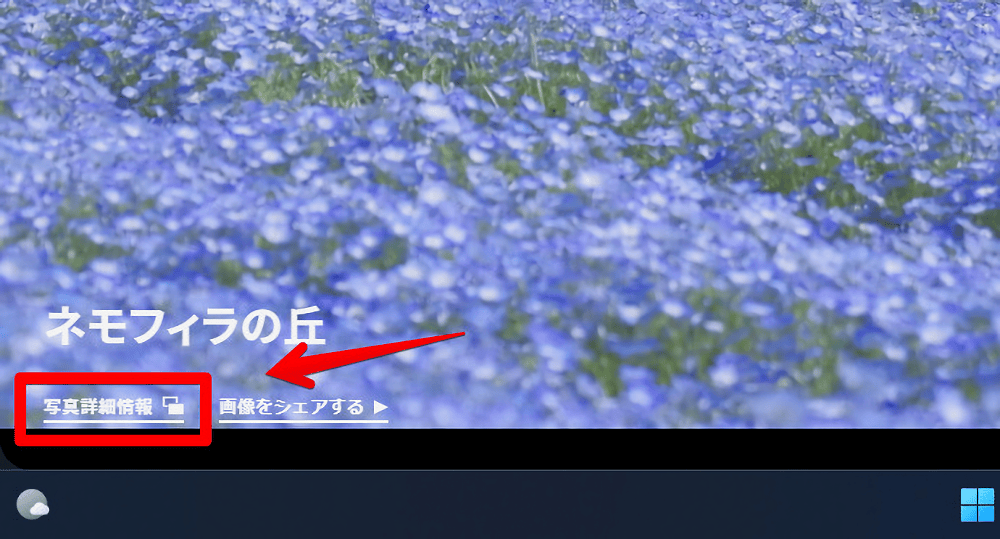 「FIND/47」の都道府県別リストページ画像4