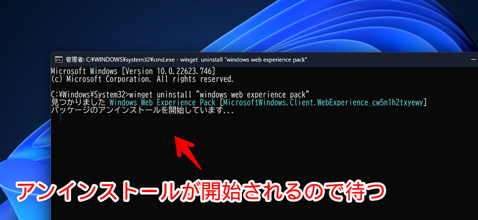 Windows11のウィジェットを無効化する手順画像5