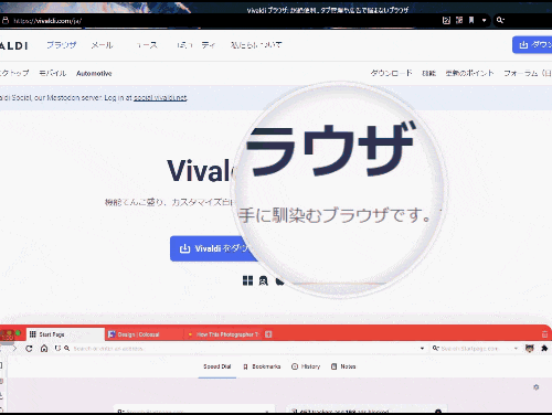 「GoogleChrome用の虫眼鏡」を使う手順画像2(GIF画像)