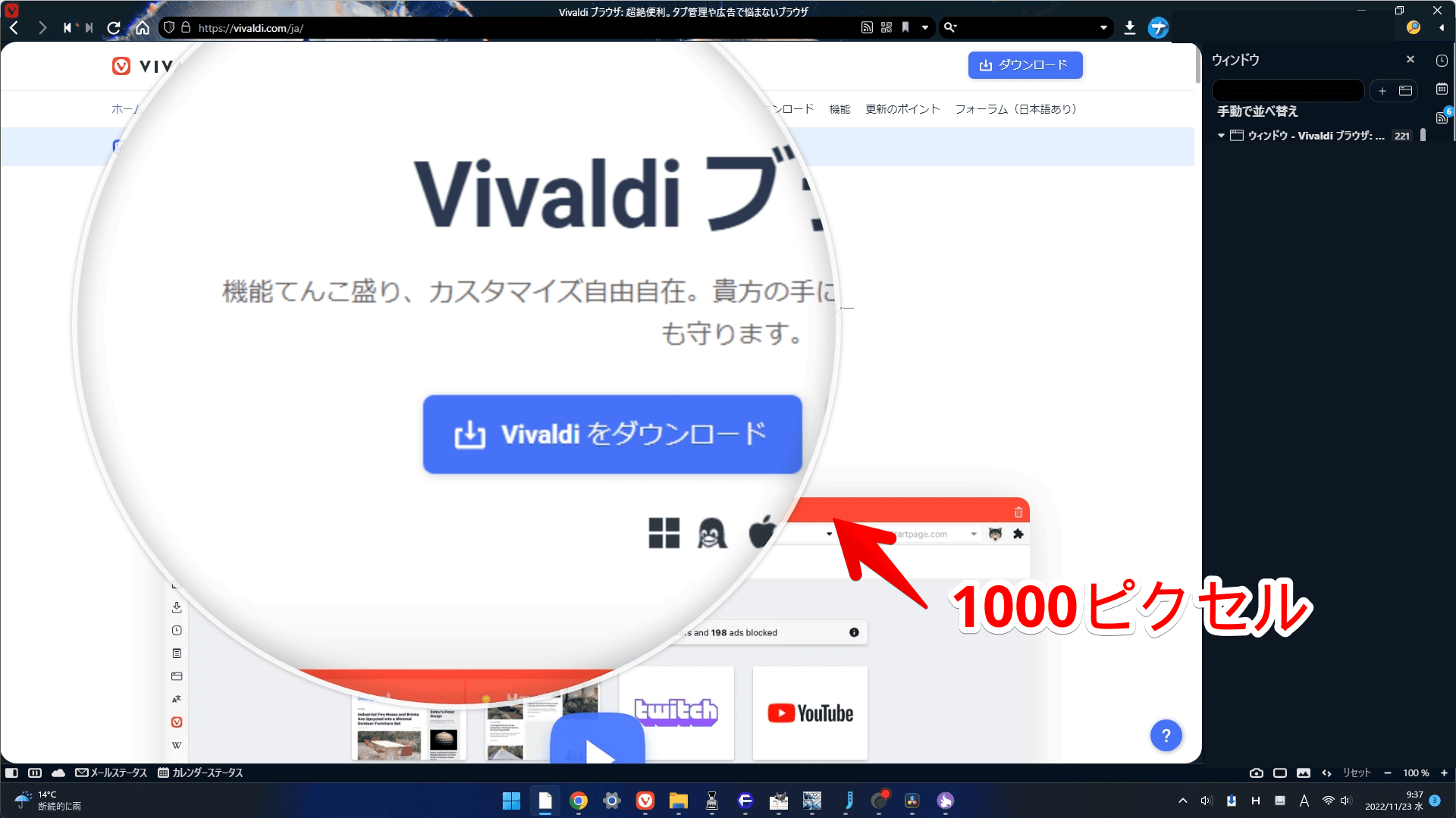 拡大鏡のサイズを「1000ピクセル」にした画像