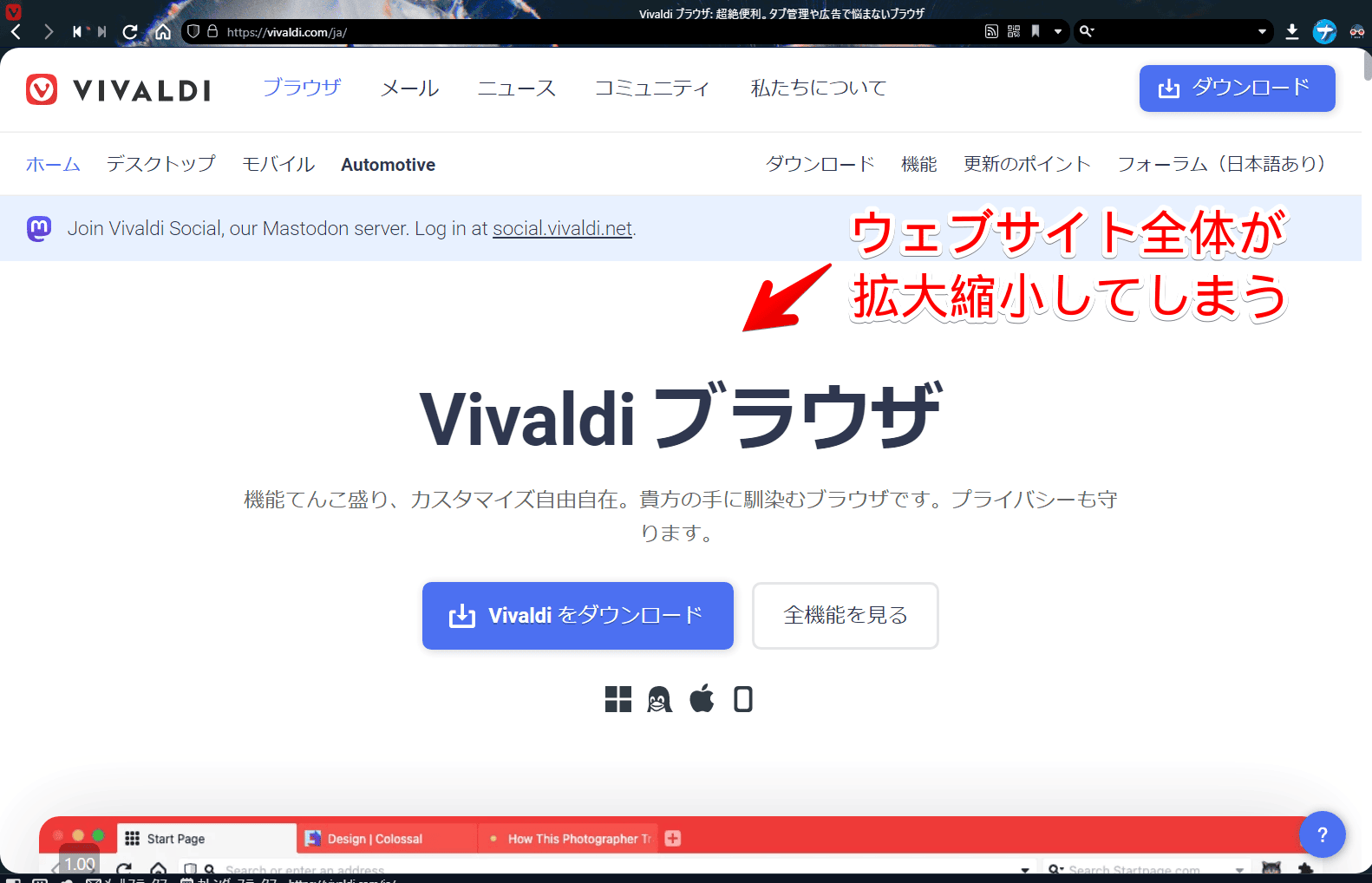 Vivaldiブラウザで、ページを拡大した画像