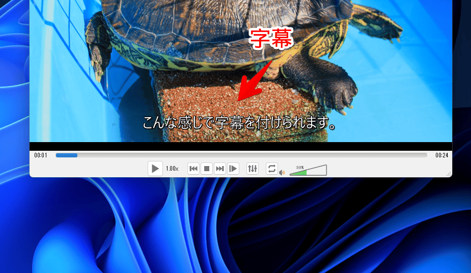  「HD Video Converter Factory Pro」で字幕を挿入する手順画像3
