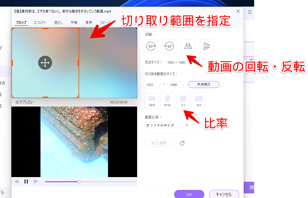 編集ツールのクロップ画像