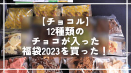 【チョコル】12種類のチョコが入った福袋2023を買った！