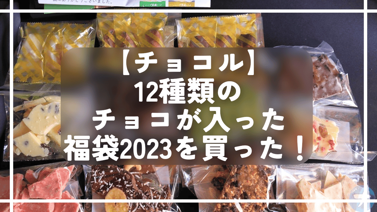 【チョコル】12種類のチョコが入った福袋2023を買った！