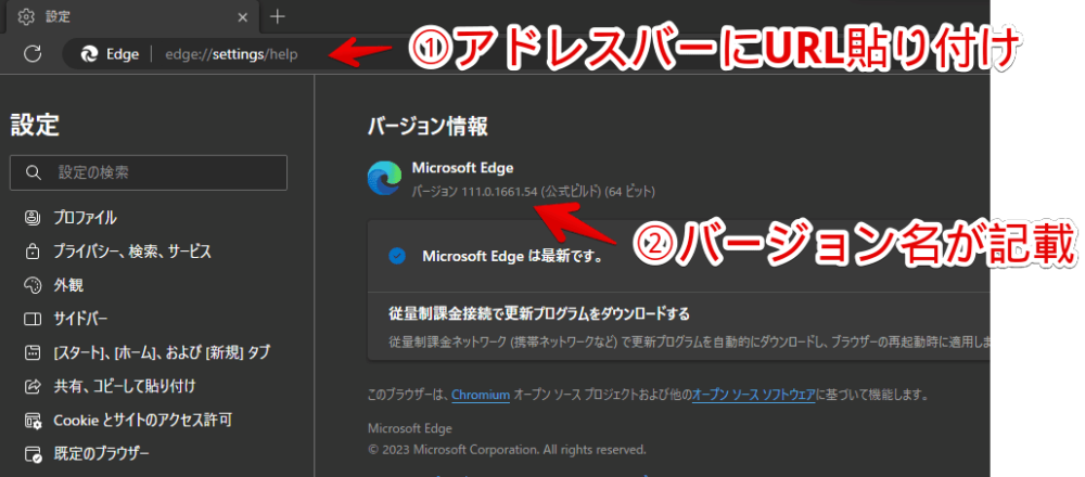 「Microsoft Edge」の111.0.1661.54以降の検出アイコンを非表示にする手順画像1