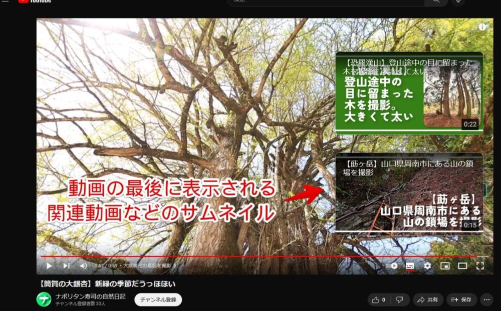 PCウェブサイト版「YouTube」動画の最後に表示される終了画面（エンドカード）のスクリーンショット