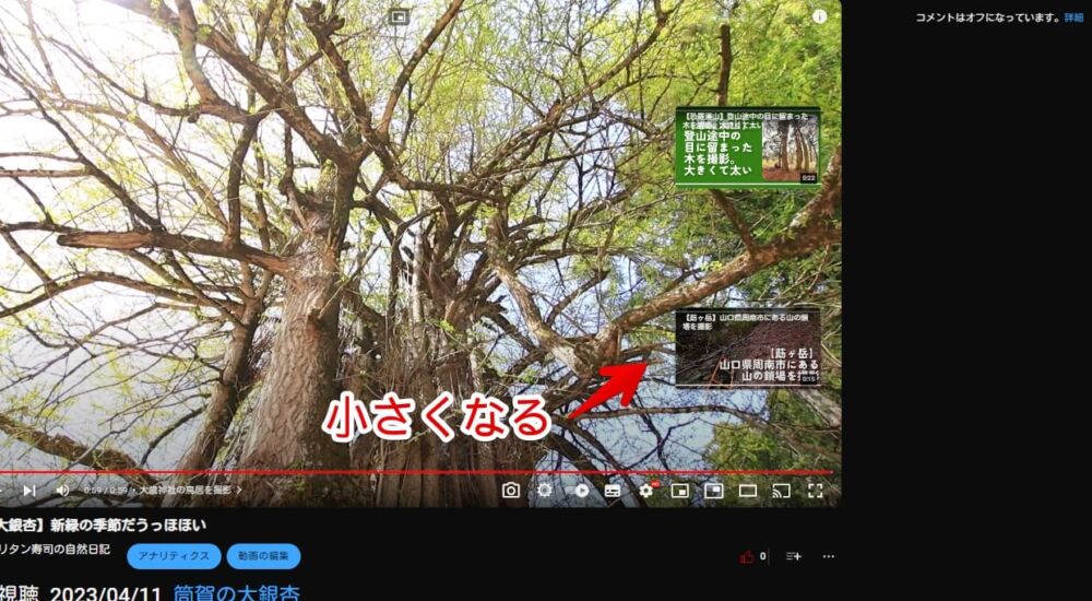 PCウェブサイト版「YouTube」動画の最後に表示される終了画面（エンドカード）をCSSで小さくした画像