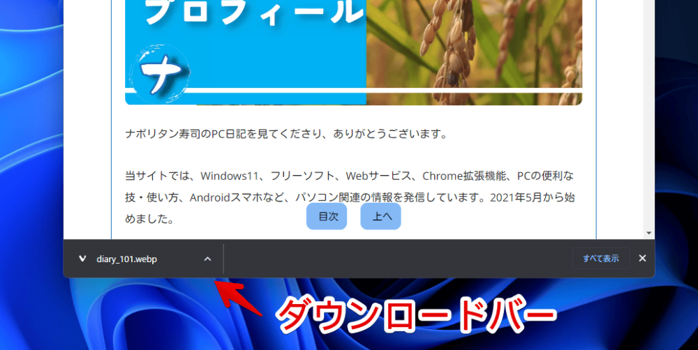 Chromeブラウザのダウンロードバー画像2