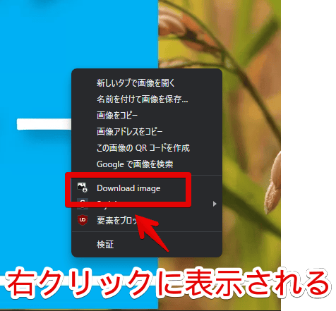 「Double-click Image Downloader」拡張機能を導入した画像の右クリックメニューのスクリーンショット