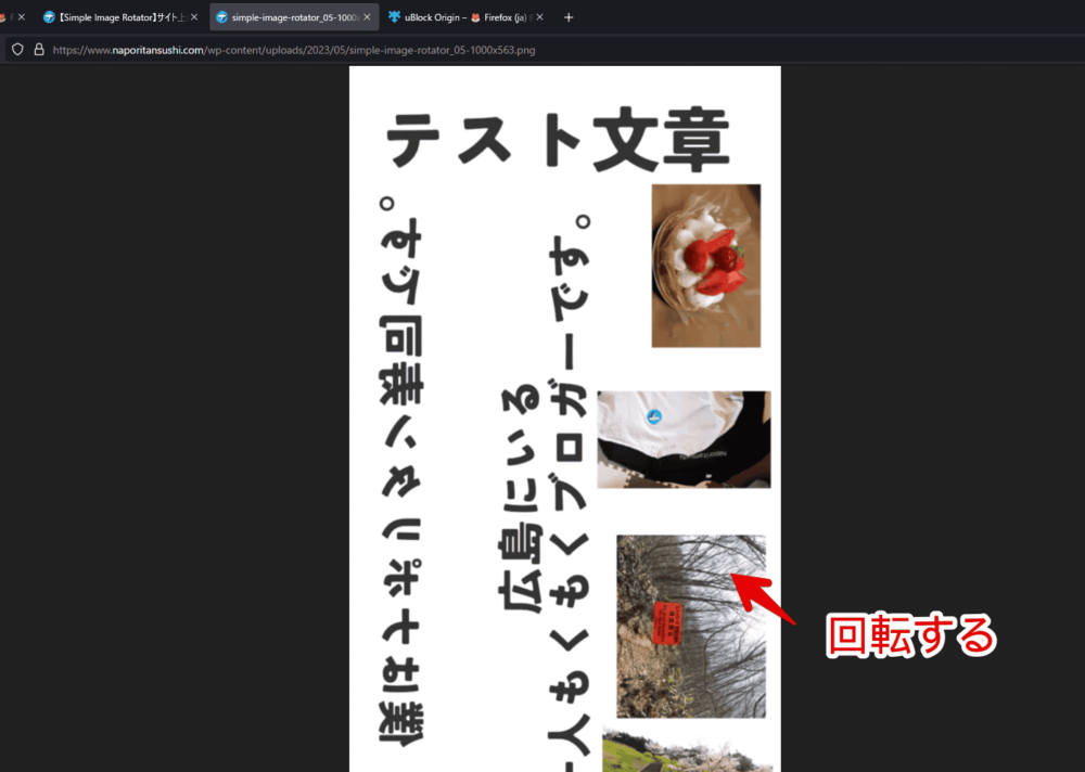 「Rotate and Zoom Image」アドオンで画像を回転した画像1