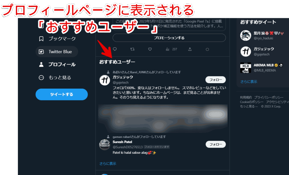 「Twitter Stress Reduction」でおすすめユーザーを非表示にする手順画像