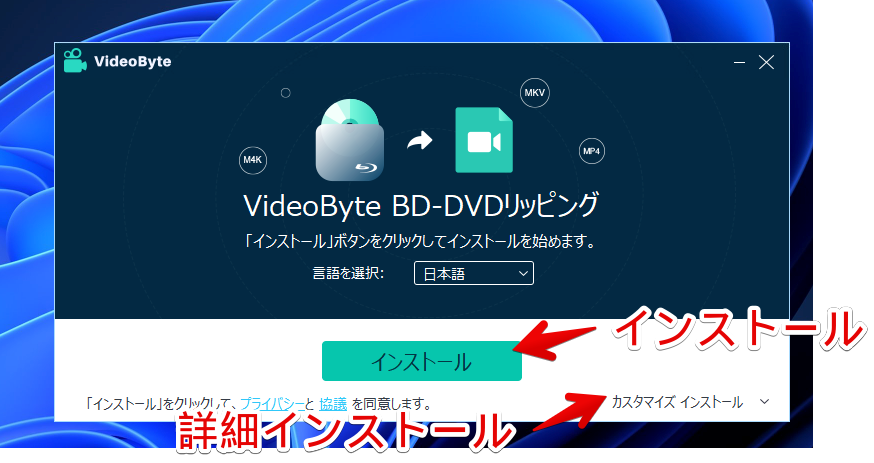 「VideoByte BD-DVDリッピング」をインストールする手順画像2