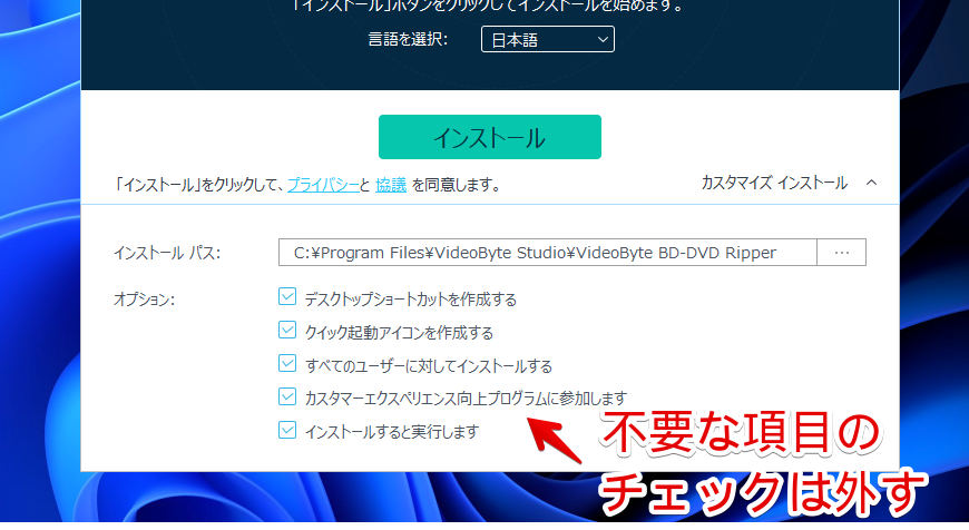 「VideoByte BD-DVDリッピング」をインストールする手順画像3