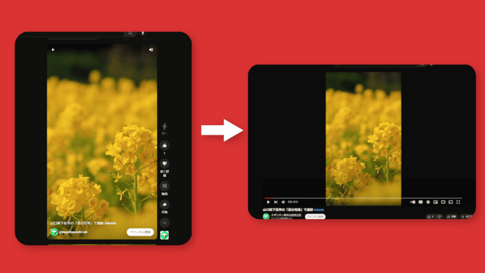 「Youtube-shorts block」拡張機能の導入前と導入後の比較画像