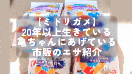 【ミドリガメ】20年以上生きている亀ちゃんにあげている市販のエサ紹介