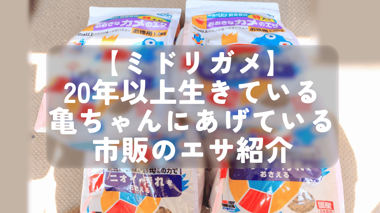 【ミドリガメ】20年以上生きている亀ちゃんにあげている市販のエサ紹介