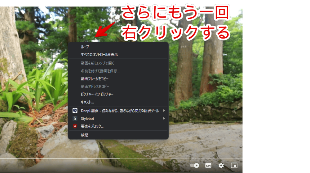 Chromeブラウザで、再生バーやボタンを映さず、動画のフレームだけコピーする手順画像2