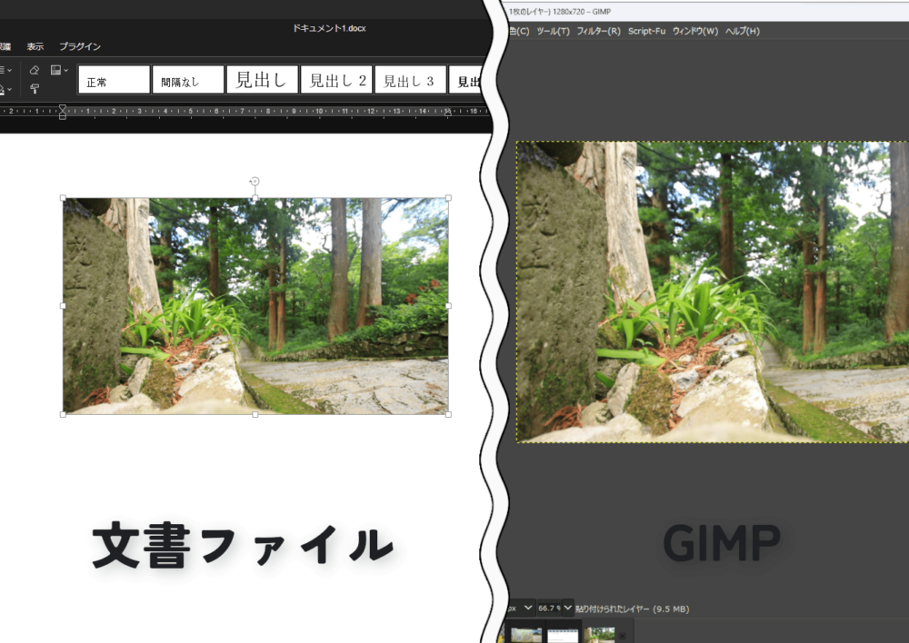 Chromeブラウザでコピーした動画のフレームを文書ファイルとGIMPに貼り付けた画像