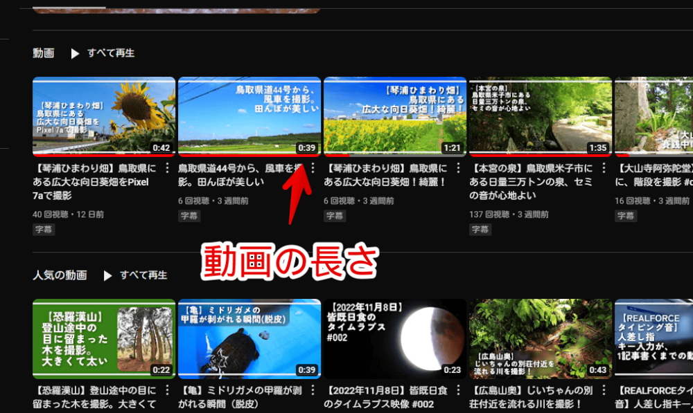 PCウェブサイト版「YouTube」の動画一覧ページ画像