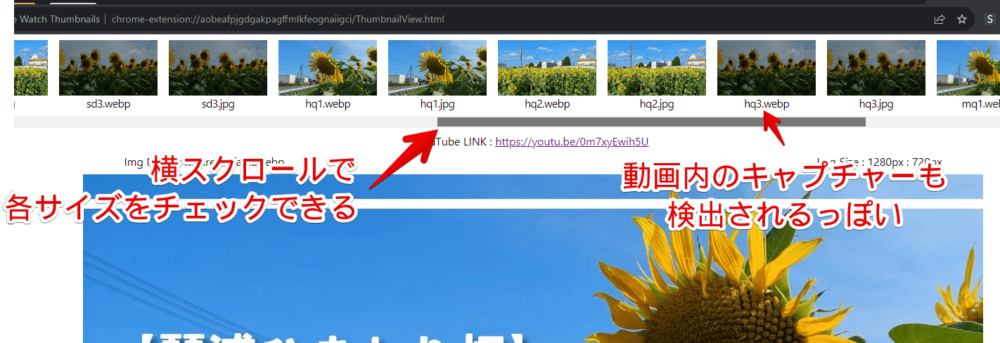 「YouTube Watch Thumbnails」でサムネイル画像を調べる手順画像4