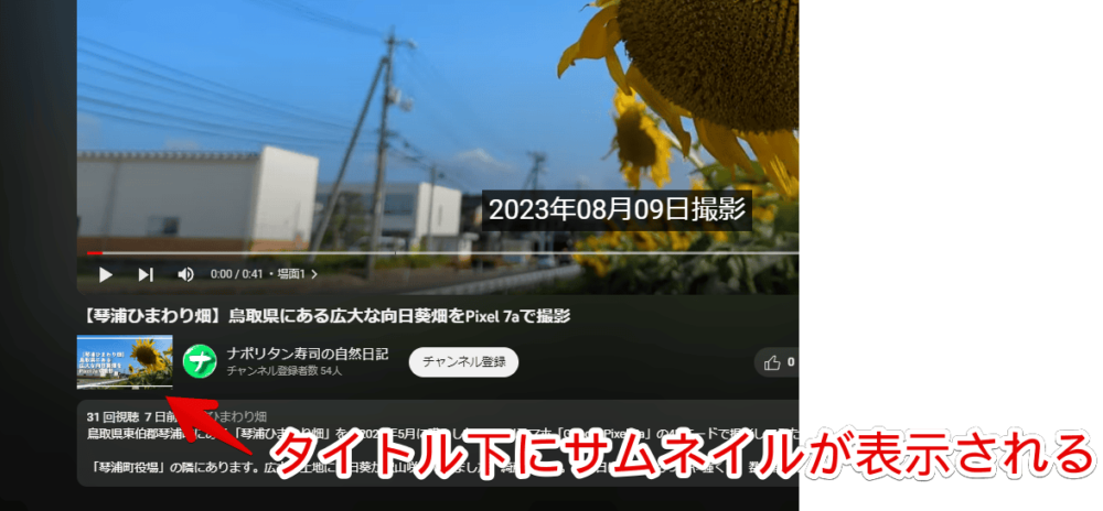 「YouTube Watch Thumbnails」でサムネイル画像を調べる手順画像2