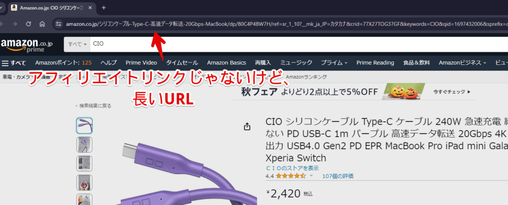 PCウェブサイト版「Amazon」の長いURL画像