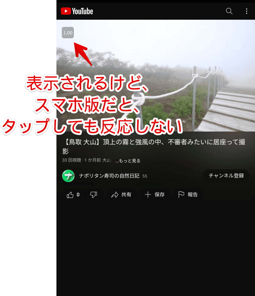 「Kiwi Browser（Android）」で開いたYouTubeをPC版サイトにする手順画像1